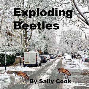 Exploding Beetles