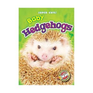 Baby Hedgehogs, Megan BorgertSpaniol