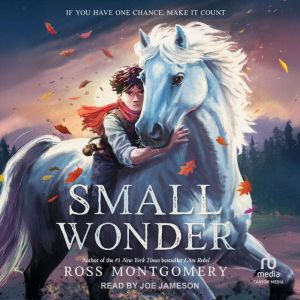 Small Wonder, Ross Montgomery