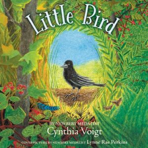 Little Bird, Cynthia Voigt