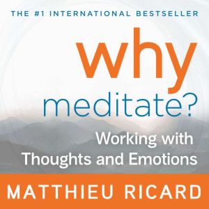 Why Meditate: Working with Thoughts and Emotions