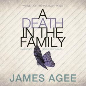 A Death in the Family, James Agee