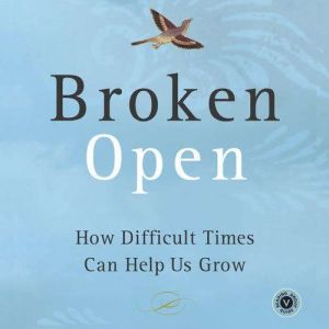 Broken Open, Elizabeth Lesser