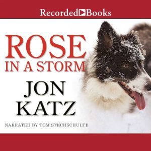 Rose in a Storm, Jon Katz