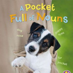 A Pocket Full of Nouns, Bette Blaisdell