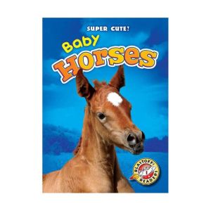 Baby Horses, Bethany Olson