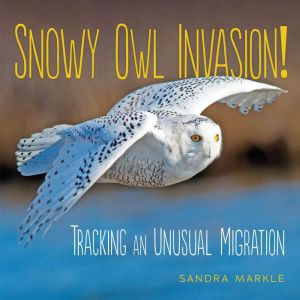 Snowy Owl Invasion!, Sandra Markle