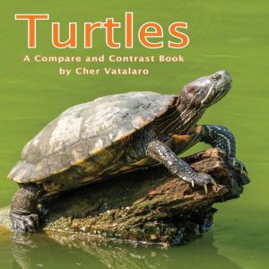 Turtles A Compare and Contrast Book, Cher Vatalaro