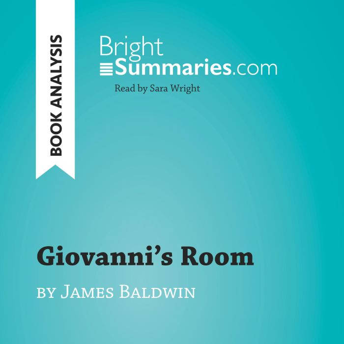 Giovannis Room by James Baldwin Boo..., Bright Summaries
