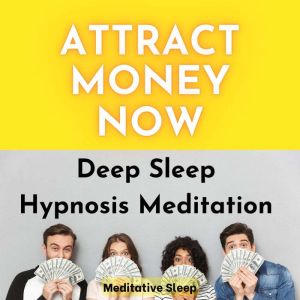 Attract Money Now Deep Sleep Hypnosis Meditation