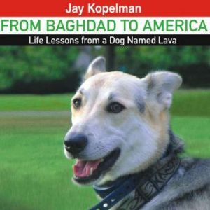 From Baghdad to America, Jay Kopelman