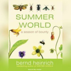 Summer World, Bernd Heinrich