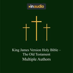 King James Version Holy Bible  The O..., Multiple Authors