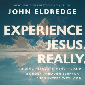 Experience Jesus. Really: Finding Refuge, Strength, and Wonder through Everyday Encounters with God