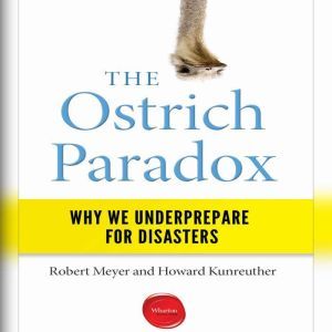 The Ostrich Paradox, Robert Meyer