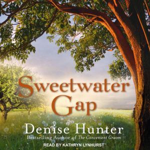 Sweetwater Gap, Denise Hunter
