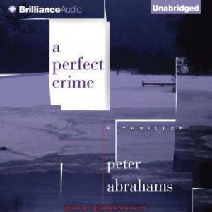 A Perfect Crime, Peter Abrahams