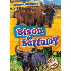 Bison or Buffalo?, Mari Schuh