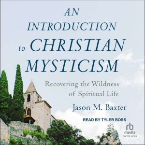 An Introduction to Christian Mysticism: Recovering the Wildness of Spiritual Life