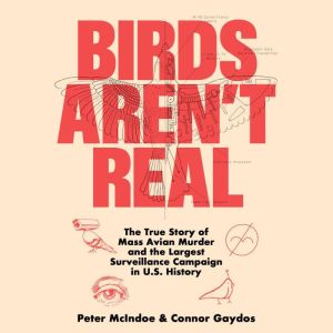 Birds Arent Real, Peter McIndoe