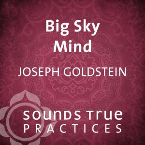 Big Sky Mind, Joseph Goldstein