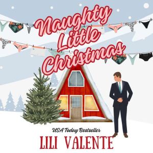 Naughty Little Christmas: A Snowed In Second Chance Romance