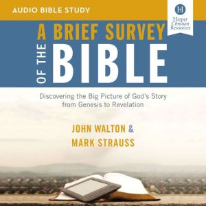 A Brief Survey of the Bible Audio Bi..., John H. Walton