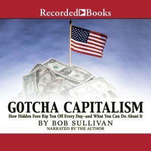 Gotcha Capitalism, Bob Sullivan