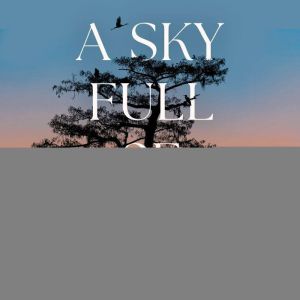 A Sky Full of Love, Lorna Lewis