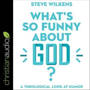 Whats So Funny About God?, Steve Wilkens