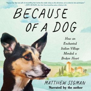 Because of a Dog, Matthew Sigman