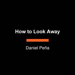 How to Look Away, Daniel Pena