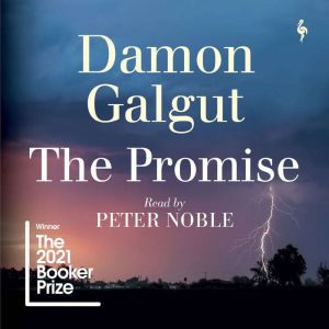 The Promise, Damon Galgut