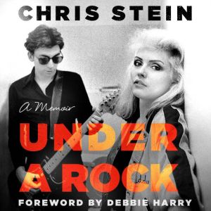 Under a Rock, Chris Stein