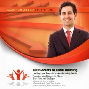 CEO Secrets to Team Building, Made for Success