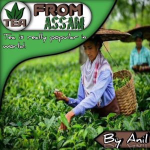 Tea From Assam, Anil