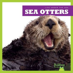 Sea Otters, Mari Schuh