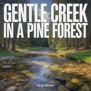 Gentle Creek in a Pine Forest, Sleep Master