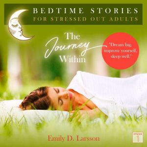 The Journey Within, Emily D. Larsson