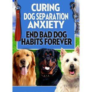 Dog Training Curing Dog Separation A..., Empowered Living