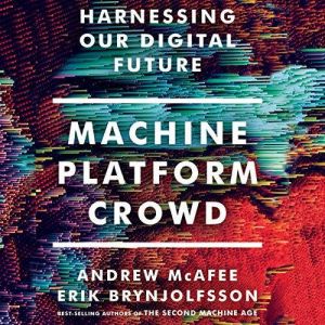 Machine, Platform, Crowd: Harnessing Our Digital Future, Erik Brynjolfsson