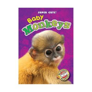 Baby Monkeys, Kari Schuetz