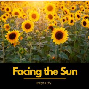 Facing the Sun, Bridget Rigsby