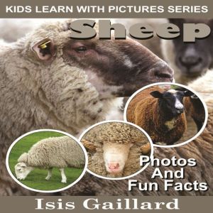 Sheep, Isis Gaillard