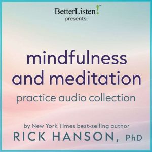 Mindfulness and Meditation Practice Audio Collection with Dr. Rick Hanson