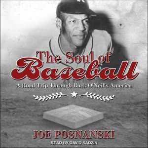 The Soul of Baseball, Joe Posnanski