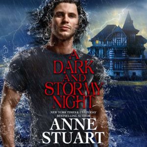 A Dark and Stormy Night, Anne Stuart