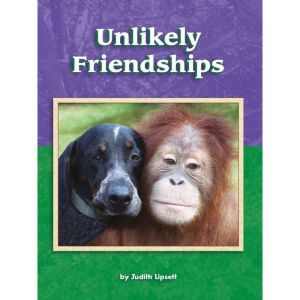 Unlikely Friendships, Judith Lipsett