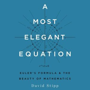 A Most Elegant Equation, David Stipp