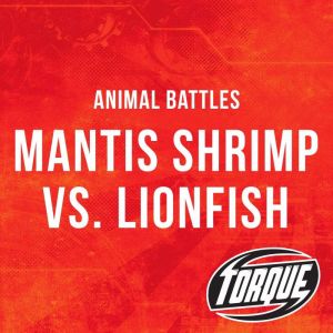 Mantis Shrimp vs. Lionfish, Kieran Downs